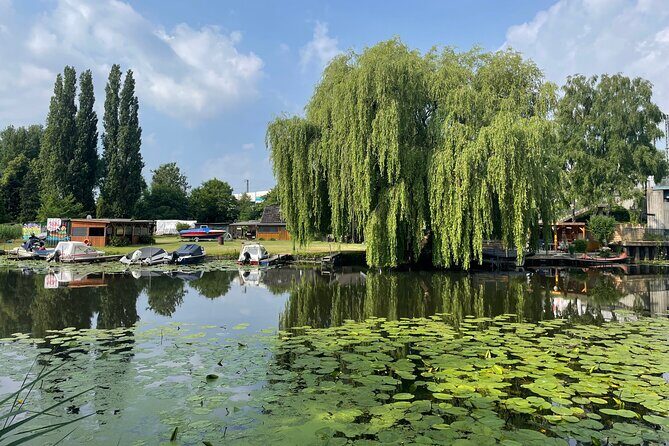 E-bike activity in Hamburg with a cultural program and snacks - Waldcafe/Restaurant Corell break and the shift toward the Alster