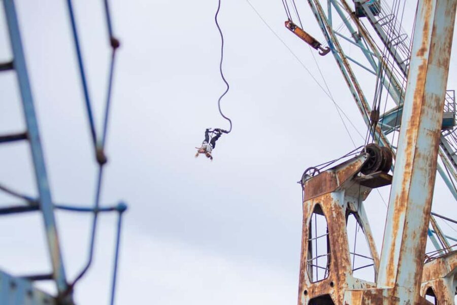 Hamburg: Bungee Jumping 50 Meters High over the Harbor - Quick takes: what makes Hamburg Harbor bungee special