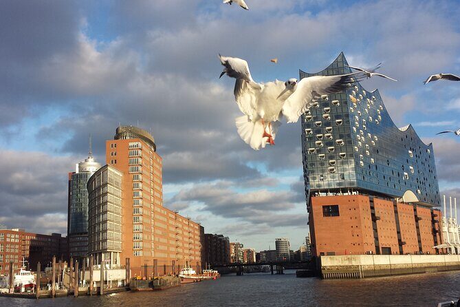 hamburg Experienced differently with wish rental bike relaxed enjoy - Key things that make this bike tour worth your time